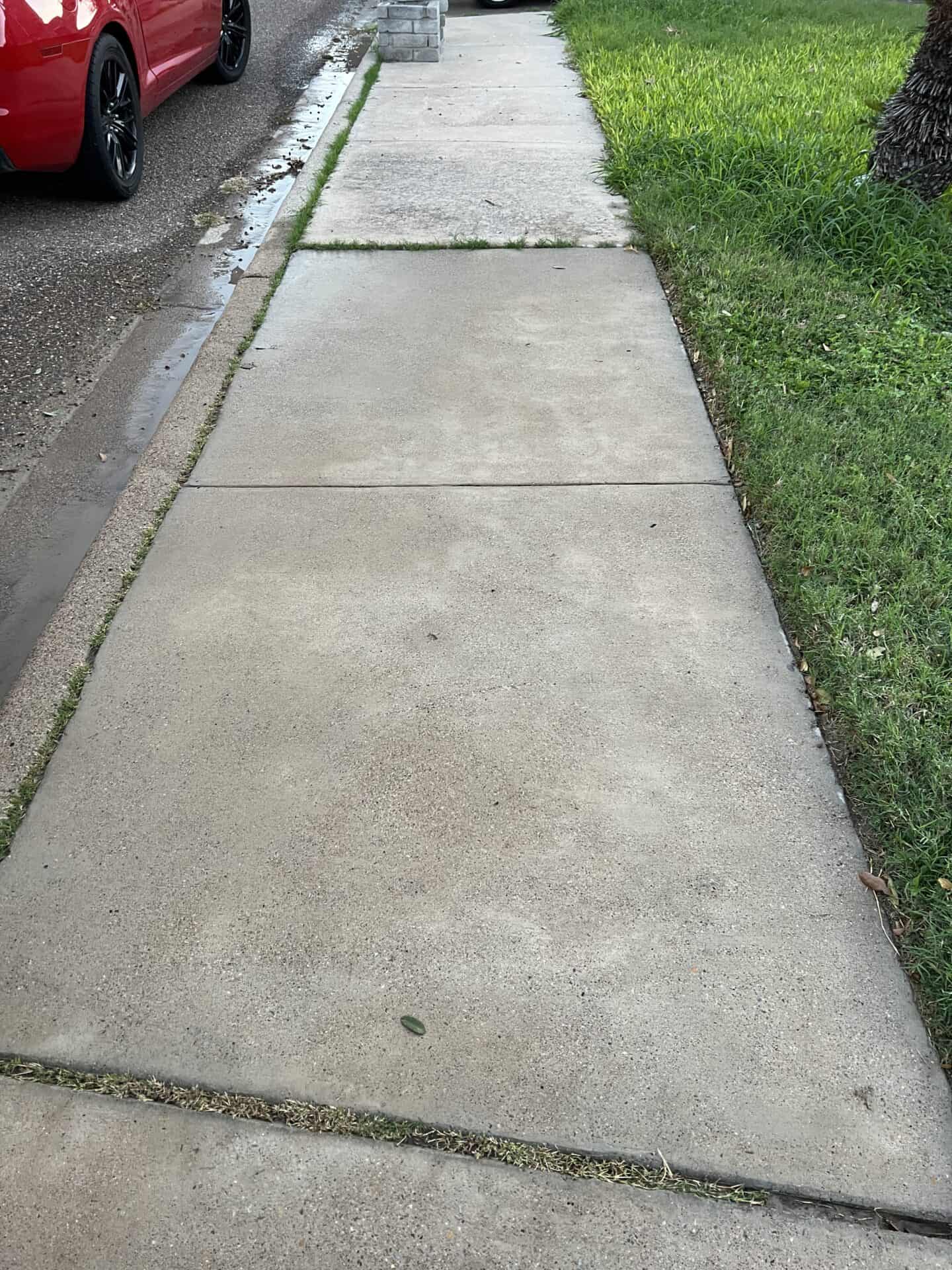 A smooth concrete sidewalk runs alongside a grassy area and a street with a red car. The setting is calm, with a few scattered leaves on the ground.