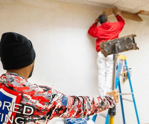 Commercial Painting